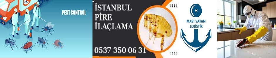 Böcek İlaçlama Servisi